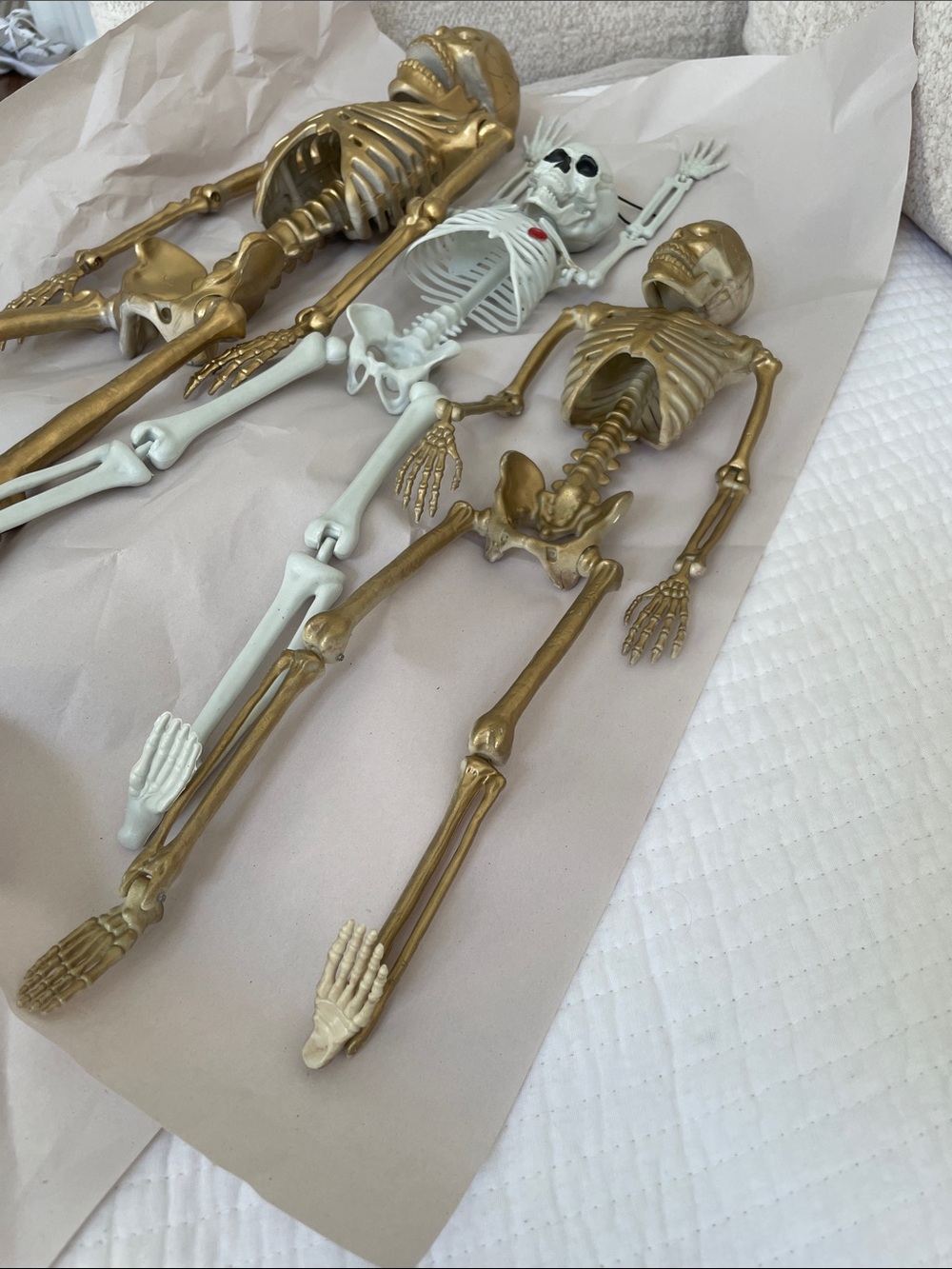 Set of Decorative Skeletons - Gold and White